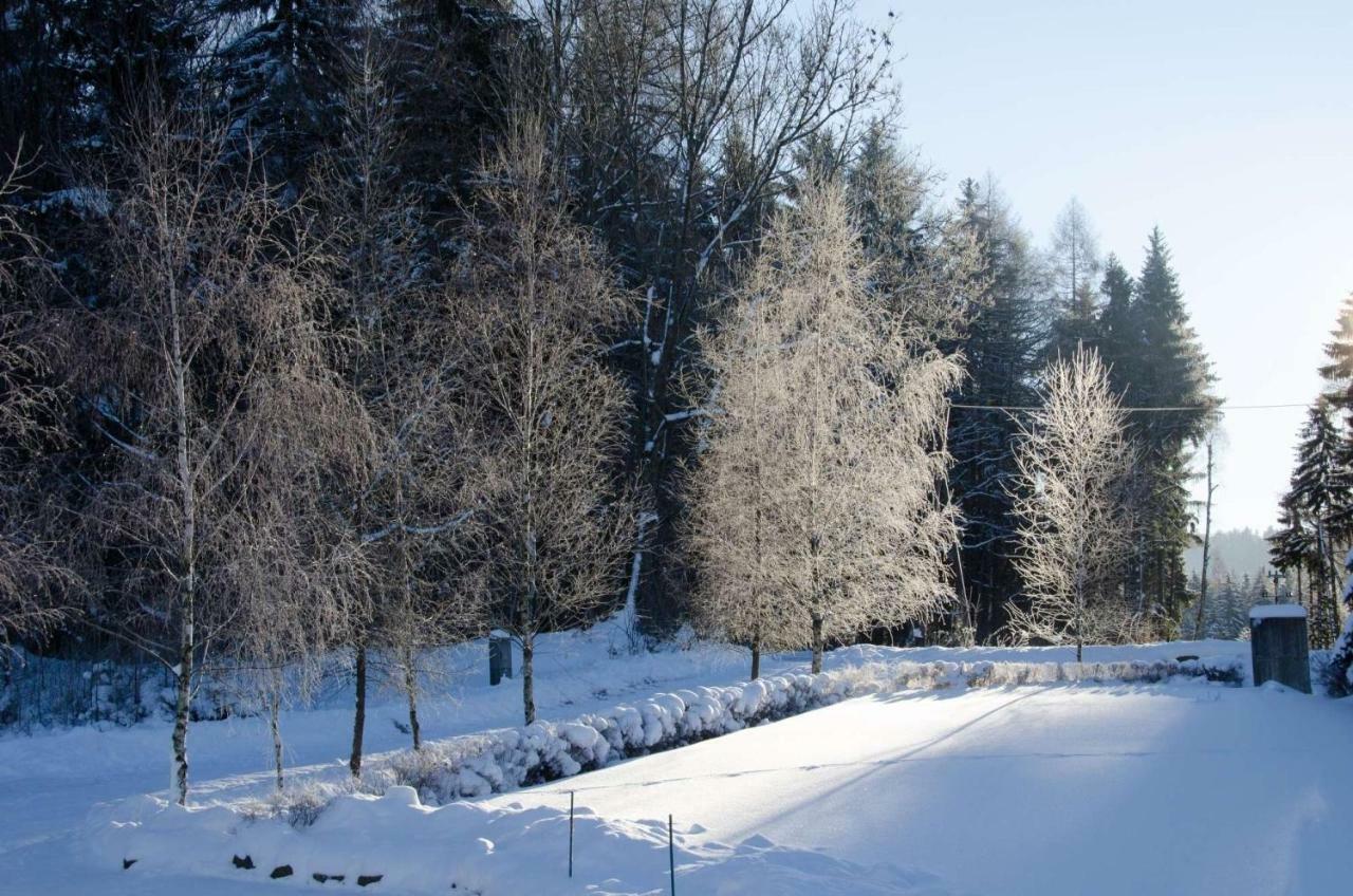 Villa Dom Na Pstraznicy Bad Kudowa Exterior foto