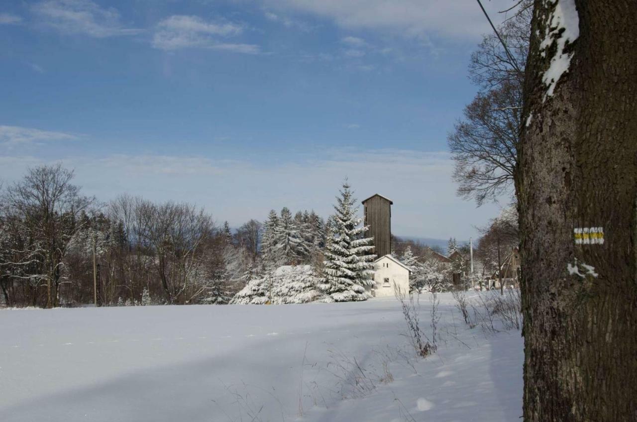 Villa Dom Na Pstraznicy Bad Kudowa Exterior foto