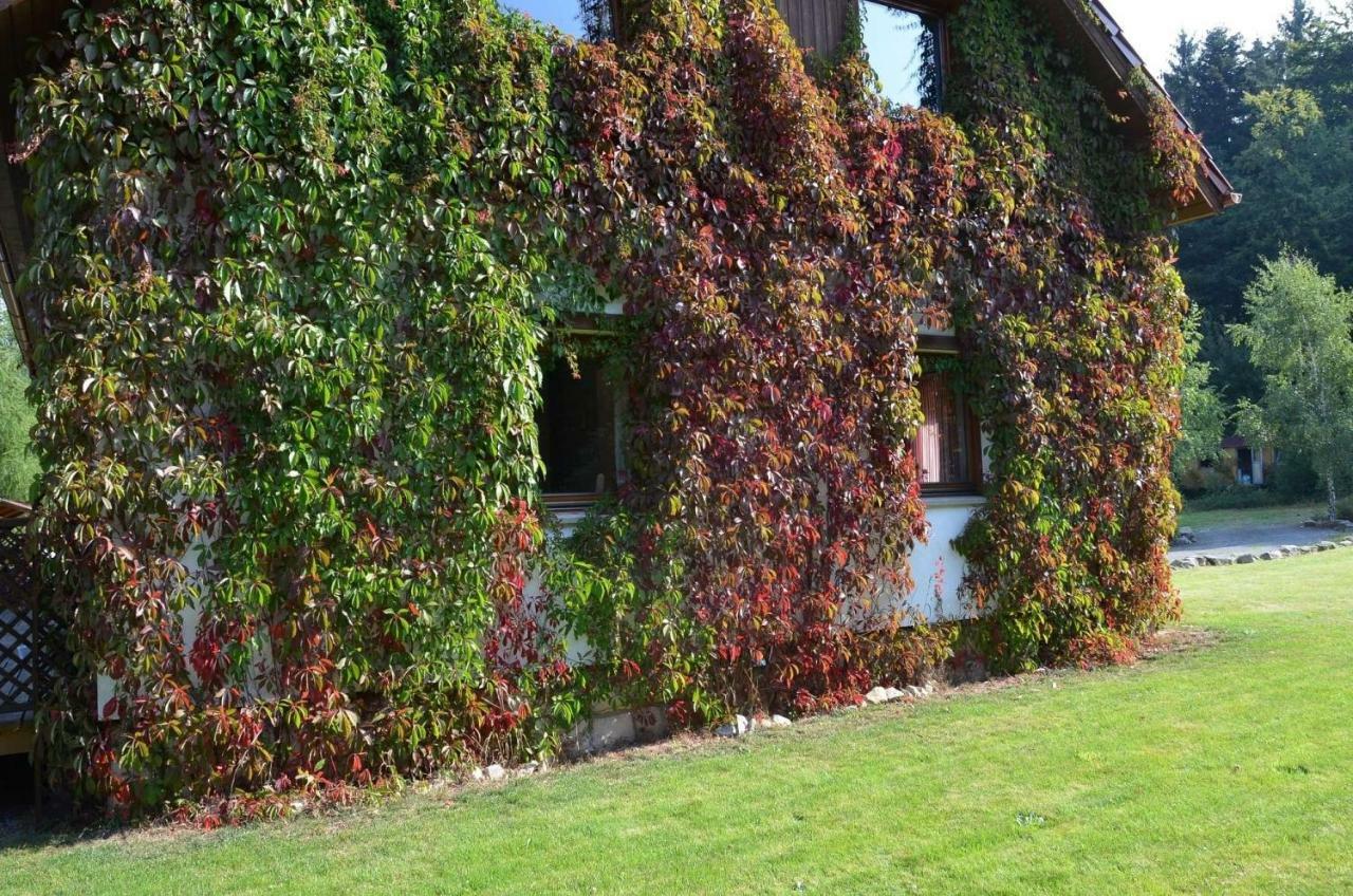 Villa Dom Na Pstraznicy Bad Kudowa Exterior foto